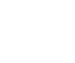 Monkey Mirror